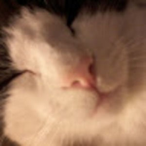 Meet your Posher, Debora